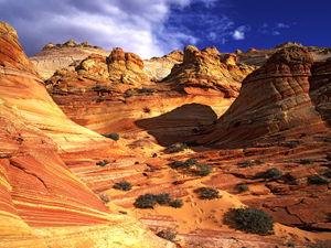 The Gobi Desert