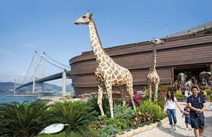Noah's Ark