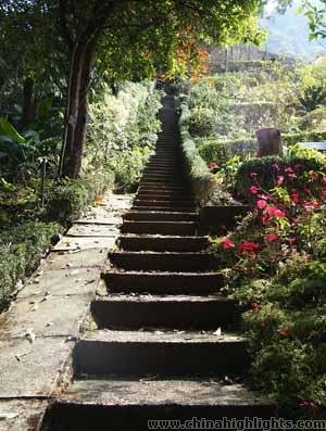Kadoorie Farm