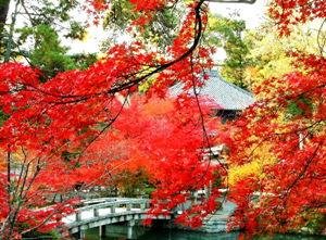Fragrant Hills Park