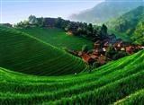 Minority village and Longsheng Terraced Field Minority village and Longsheng Terraced Field