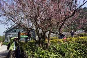 Kadoorie Farm and Botanic Gardens