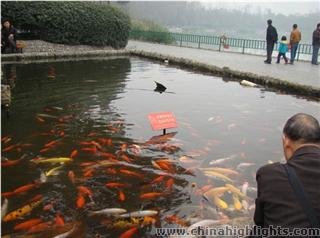 Top Parks of Chengdu