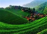 Longji Ancient Zhuang Village Longji Ancient Zhuang Village