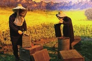 Beijing Honey Bee Museum