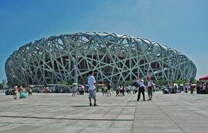 The Bird's Nest