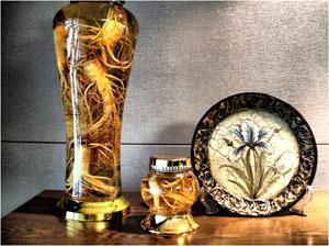 Traditional Chinese Medicine
