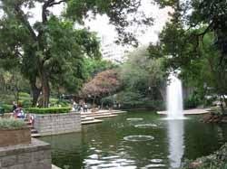 Hong Kong's 5 Best Parks for Tourists