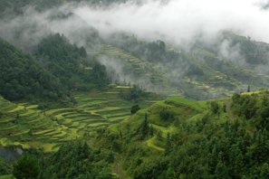 Jiabang Rice Terraces