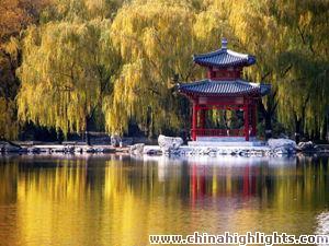 The Purple Bamboo Park