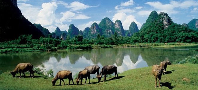 Yangdi