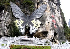 Butterfly Spring