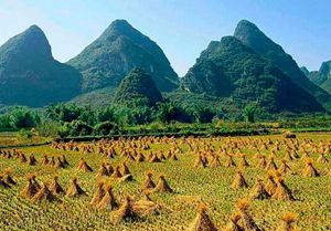 Village Scenery