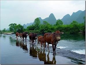 6 Free Things to do in Yangshuo