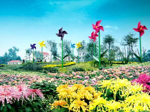 The Best Agritainment Areas in Chengdu