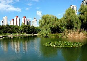 Xujiahui Park