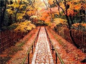 香山公园