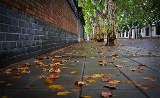Top 6 Romantic Places in Chengdu