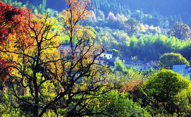 tachuan village