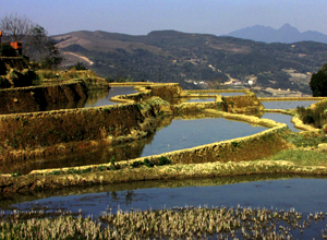 Jingkou