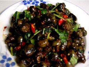 River Snails