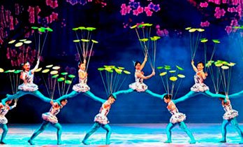 Acrobatic Show in Chaoyang Theatre