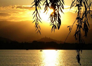 Summer Palace