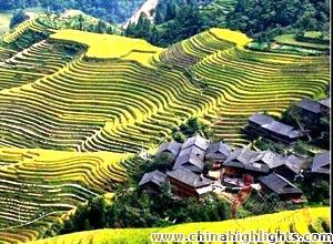 The terraced fields scenery