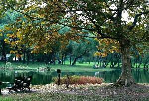 Gongqing Forest Park