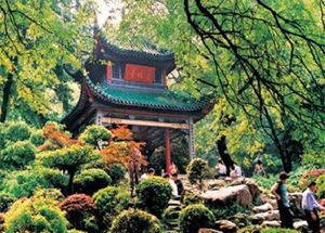 Yuelu Mountain Scenic Area