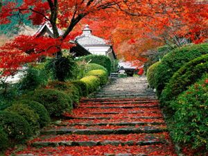 Fragrant Hill
