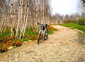 Gaowei Bike Park