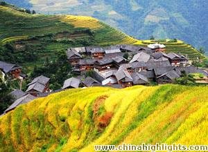 Photography Tips For Longsheng Rice Terrace