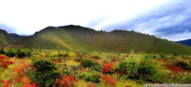 Shangri-La