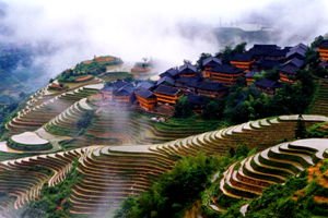 The Longji Terraced Fields