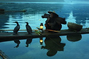 Cormorant Fishing on the Li River