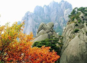 The Yellow Mountains autumn scenery
