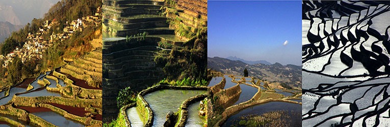 Yuanyang Terraces