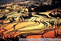 China's Five Most Beautiful Rice Terraces