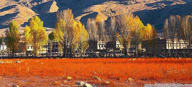 Daocheng