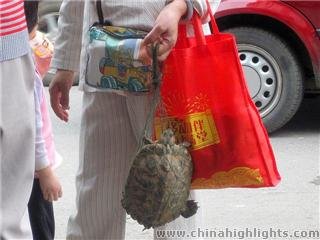 turtle in a bag to be used as food in China