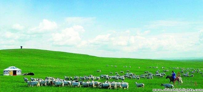 Hohhot Grassland