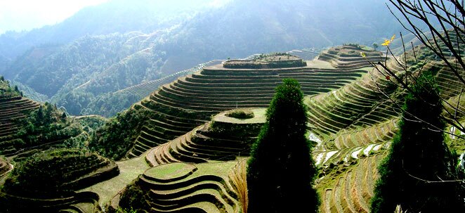 longji terraced field