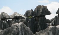 stone forest