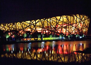 Bird's Nest