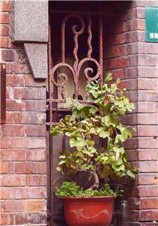 Changle Village, Jing'an, Shanghai