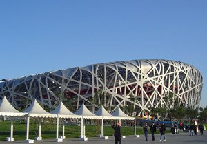 Bird's Nest