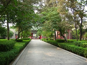 Forest of Stele Museum