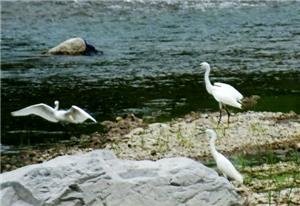 Top Places for Fishing around Beijing