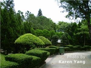kowloon park